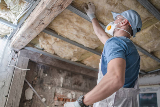 Best Eco-Friendly Insulation in Marietta Alderwood, WA