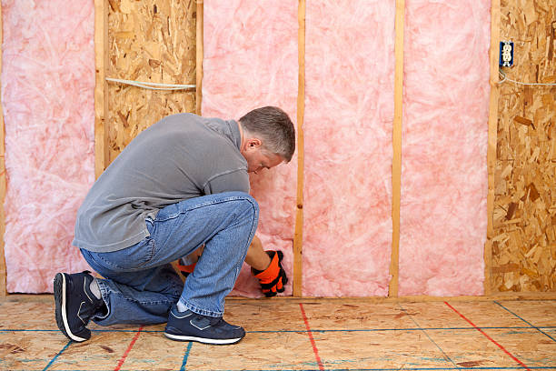 Best Geographic-Specific Insulation Services in Marietta Alderwood, WA